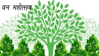 Van Mahotsav Essay in Hindi